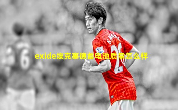 exide埃克塞德蓄电池质量怎么样