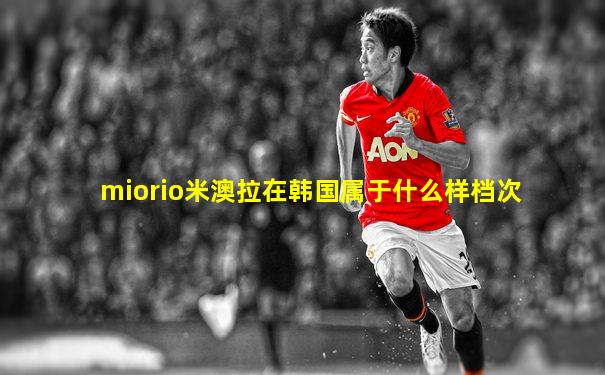 miorio米澳拉在韩国属于什么样档次