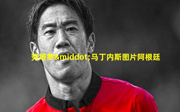 劳塔罗·马丁内斯图片阿根廷