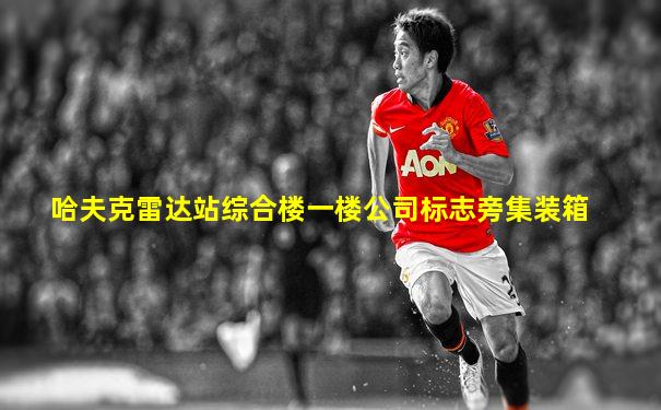 哈夫克雷达站综合楼一楼公司标志旁集装箱