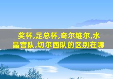 奖杯,足总杯,奇尔维尔,水晶宫队,切尔西队的区别在哪