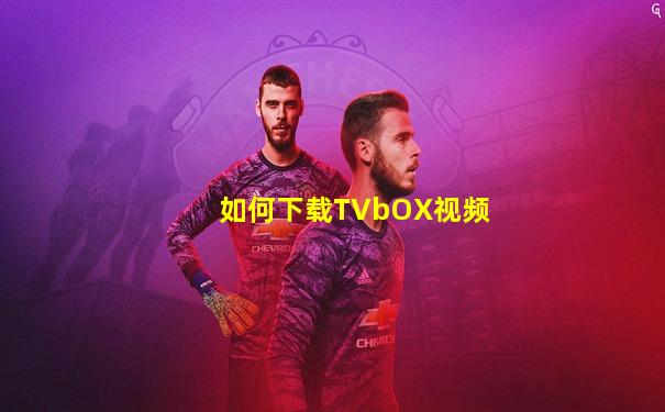 如何下载TVbOX视频