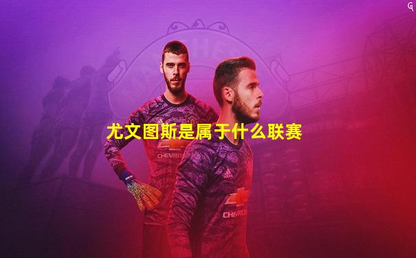 尤文图斯是属于什么联赛