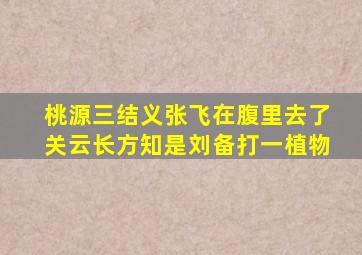 桃源三结义张飞在腹里去了关云长方知是刘备打一植物