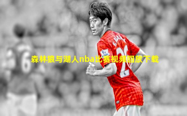 森林狼与湖人nba比赛视频回放下载