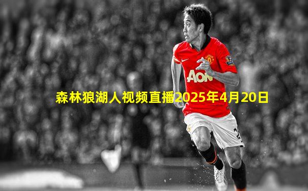森林狼湖人视频直播2025年4月20日
