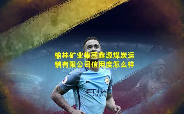 榆林矿业集团鑫源煤炭运销有限公司信用度怎么样