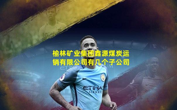 榆林矿业集团鑫源煤炭运销有限公司有几个子公司