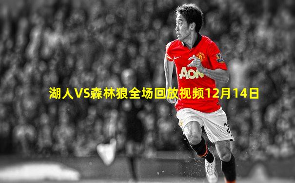 湖人VS森林狼全场回放视频12月14日