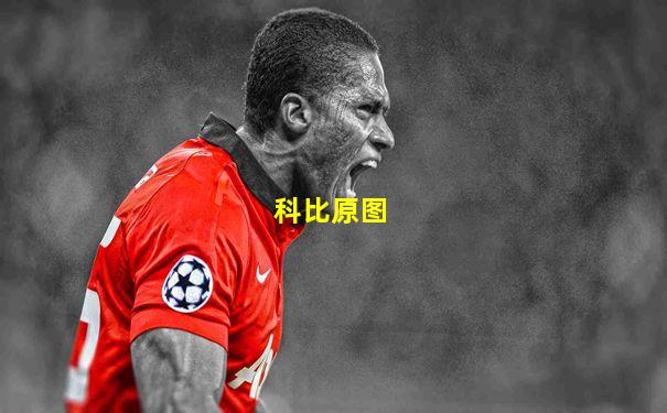 科比原图