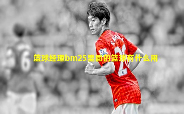 篮球经理bm25里面的篮球有什么用