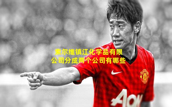 索尔维镇江化学品有限公司分成两个公司有哪些