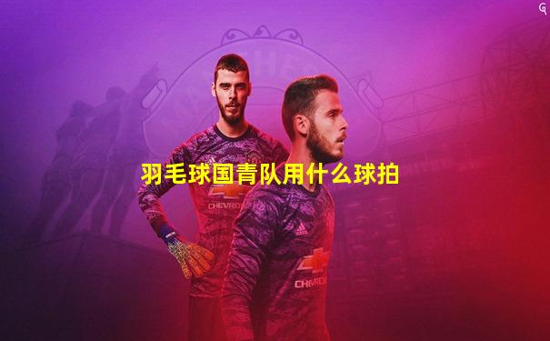 羽毛球国青队用什么球拍