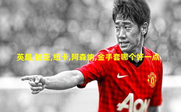 英超,拉亚,纽卡,阿森纳,金手套哪个好一点