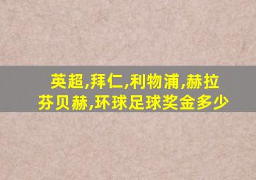 英超,拜仁,利物浦,赫拉芬贝赫,环球足球奖金多少