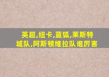 英超,纽卡,蓝狐,莱斯特城队,阿斯顿维拉队谁厉害