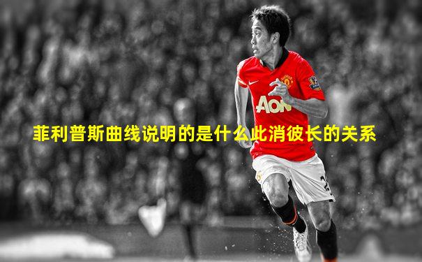 菲利普斯曲线说明的是什么此消彼长的关系