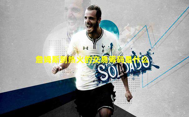詹姆斯到热火的交易筹码是什么