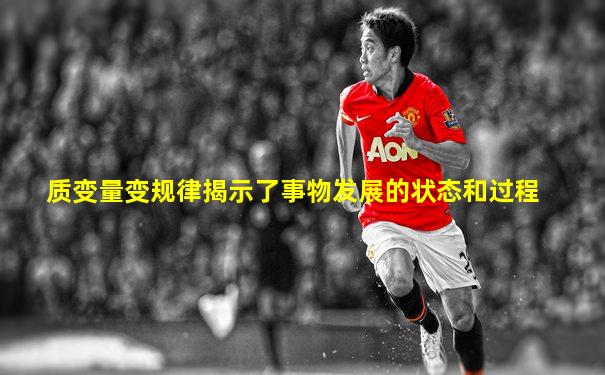 质变量变规律揭示了事物发展的状态和过程