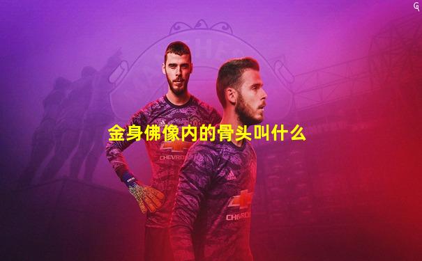 金身佛像内的骨头叫什么