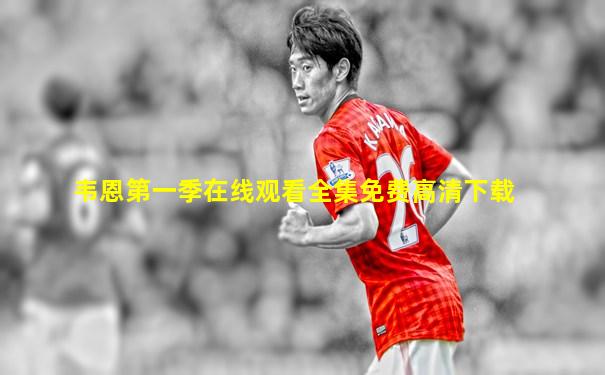 韦恩第一季在线观看全集免费高清下载
